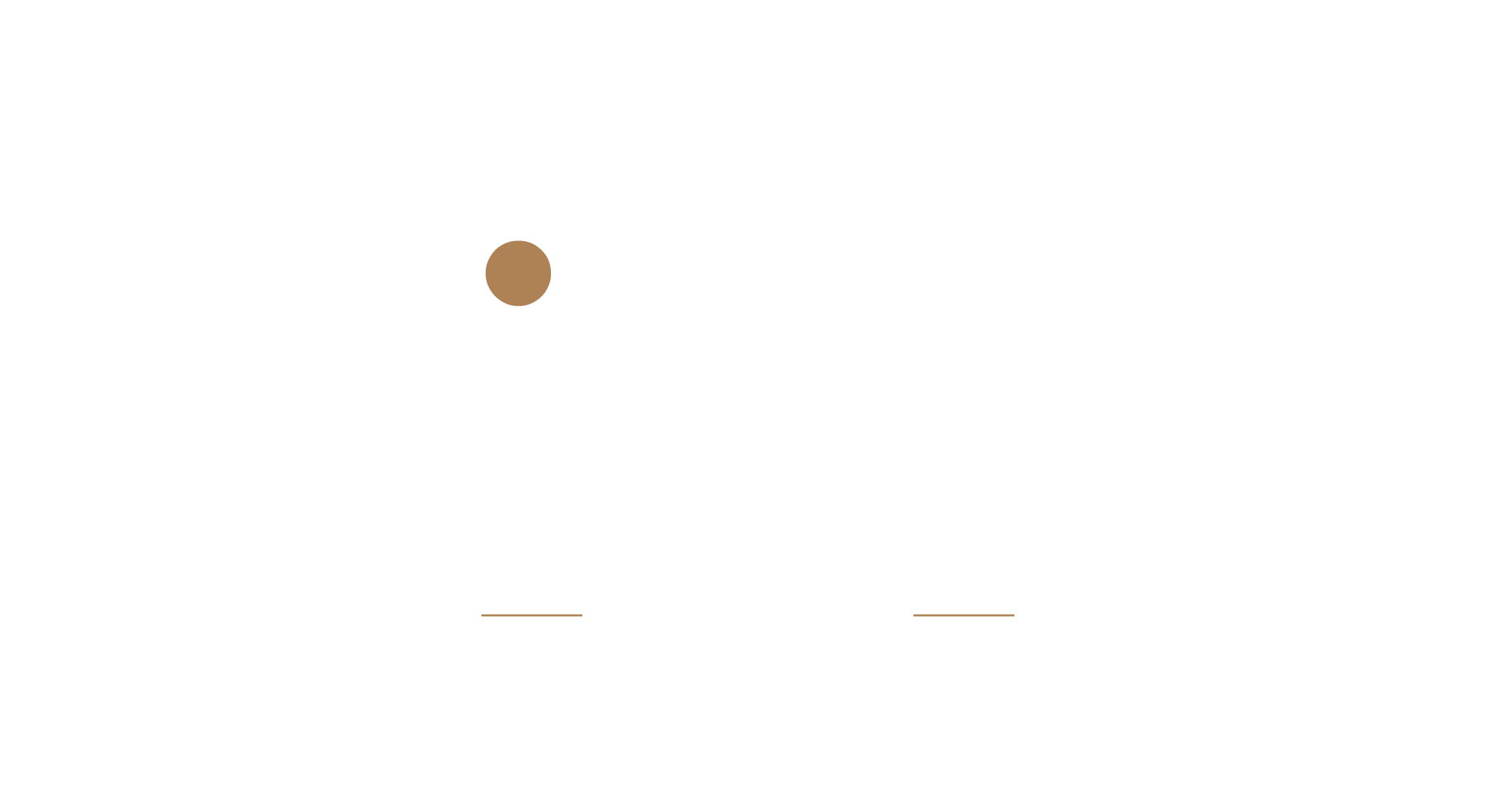 Bingoz